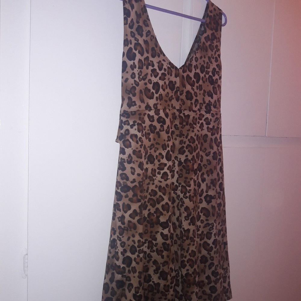 Leopard Dress - Picture 5 of 5
